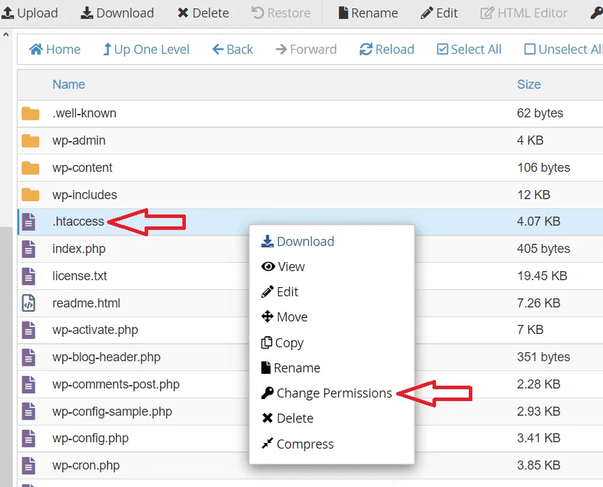 File Manager change permissions