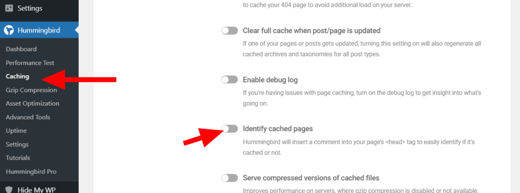 Hummingbird caching pages