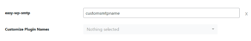 Customizing Plugin Names