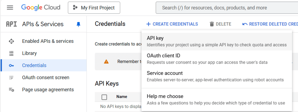 Google Cloud Project API Key