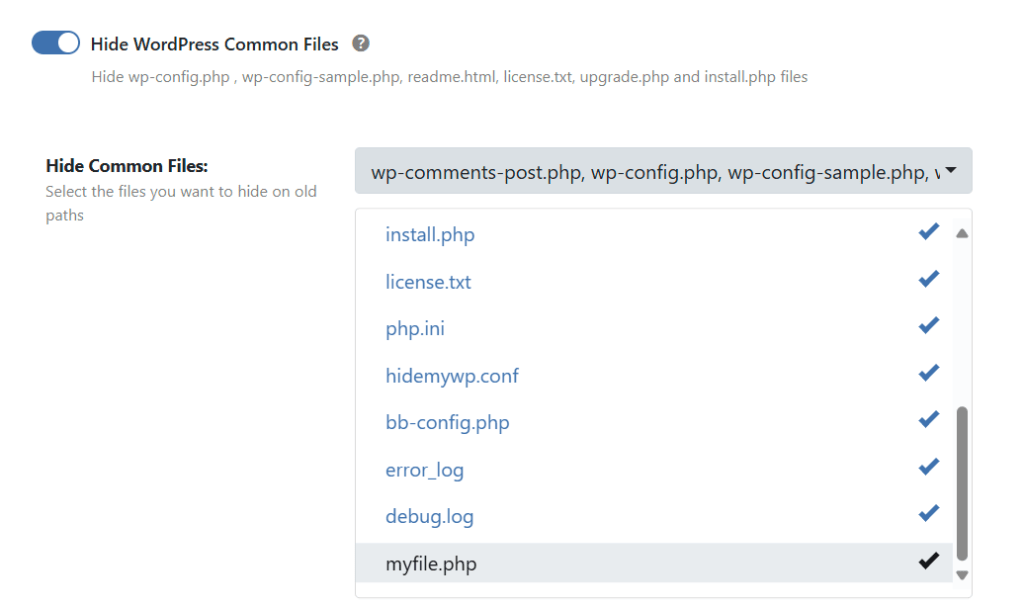 Hiding a Custom File in WP Ghost